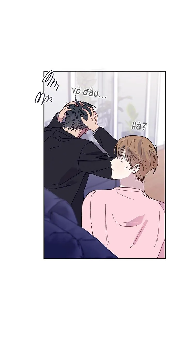 Why Not, CEO? Chapter 22 Trang 20