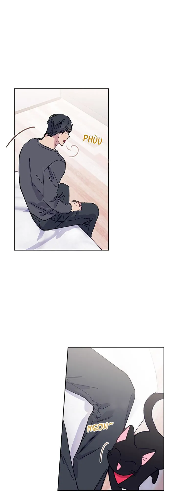 Why Not, CEO? Chapter 24 Trang 15