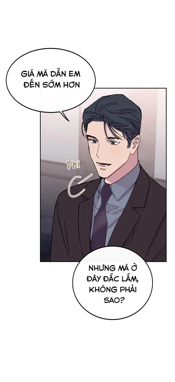 Why Not, CEO? Chapter 24 Trang 51