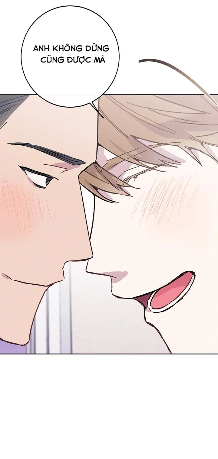 Why Not, CEO? Chapter 26 Trang 16