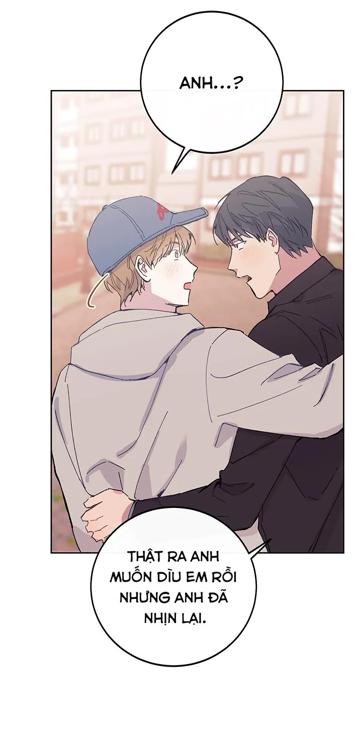 Why Not, CEO? Chapter 26 Trang 42