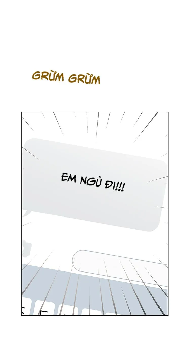 Why Not, CEO? Chapter 26 Trang 60