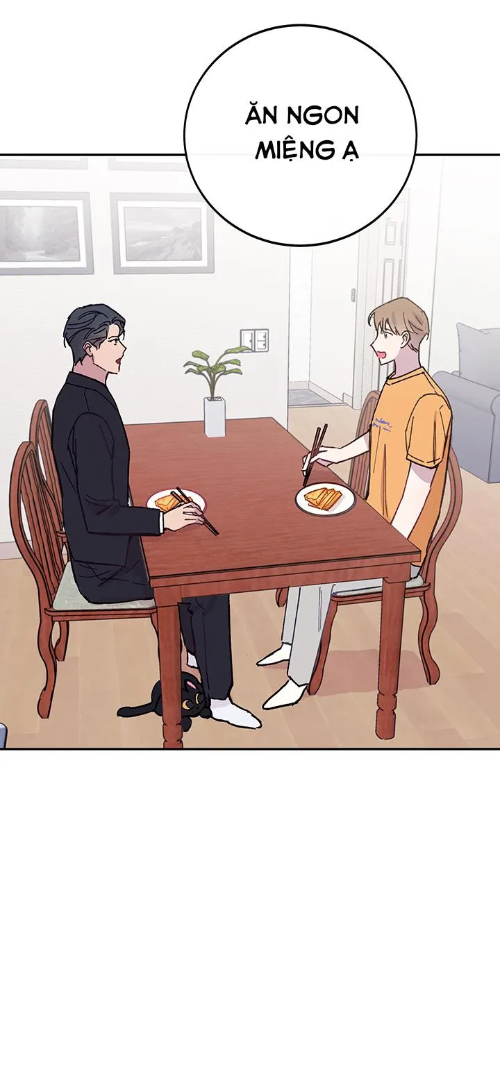 Why Not, CEO? Chapter 27 Trang 10