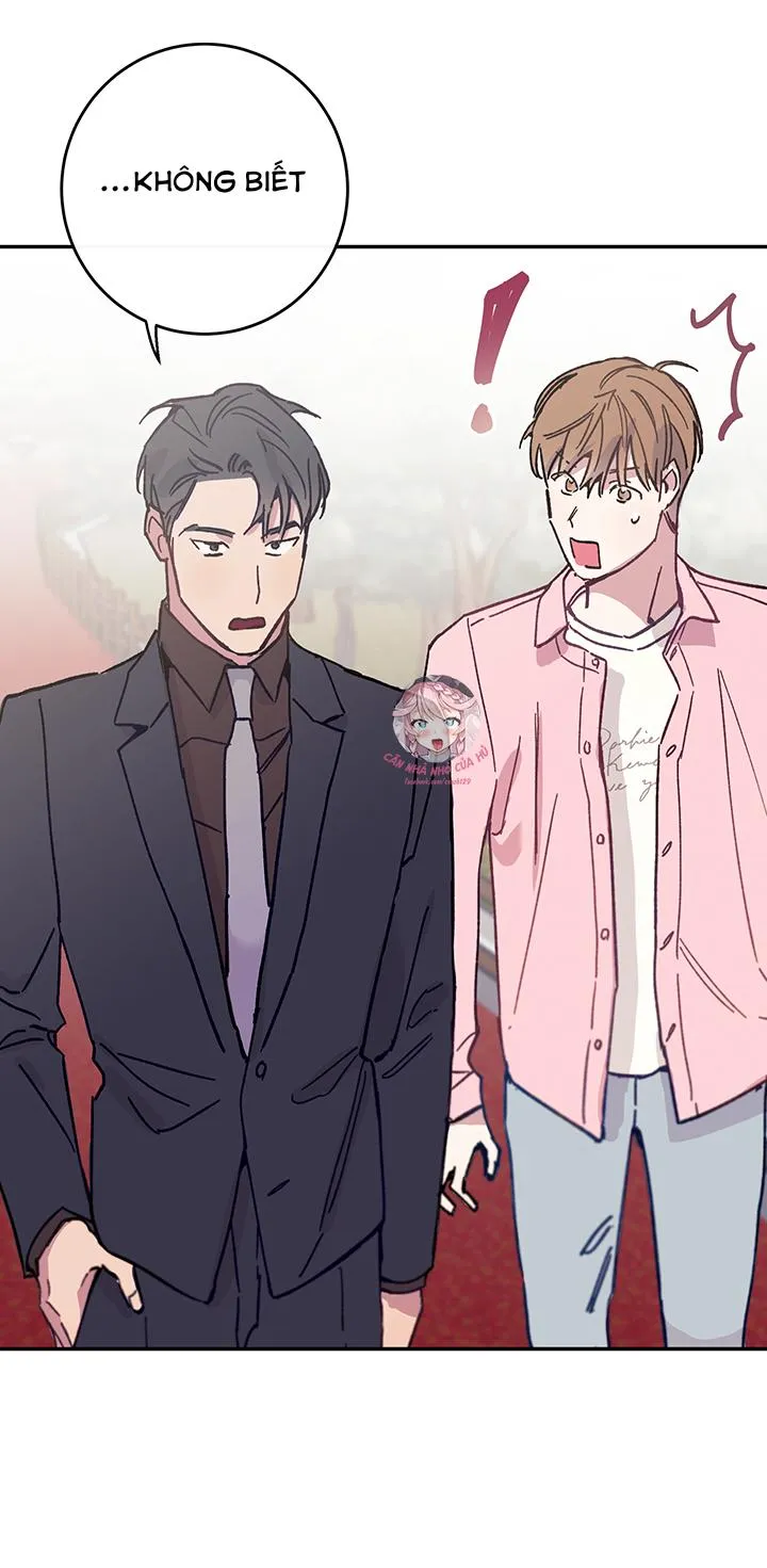 Why Not, CEO? Chapter 28 Trang 51