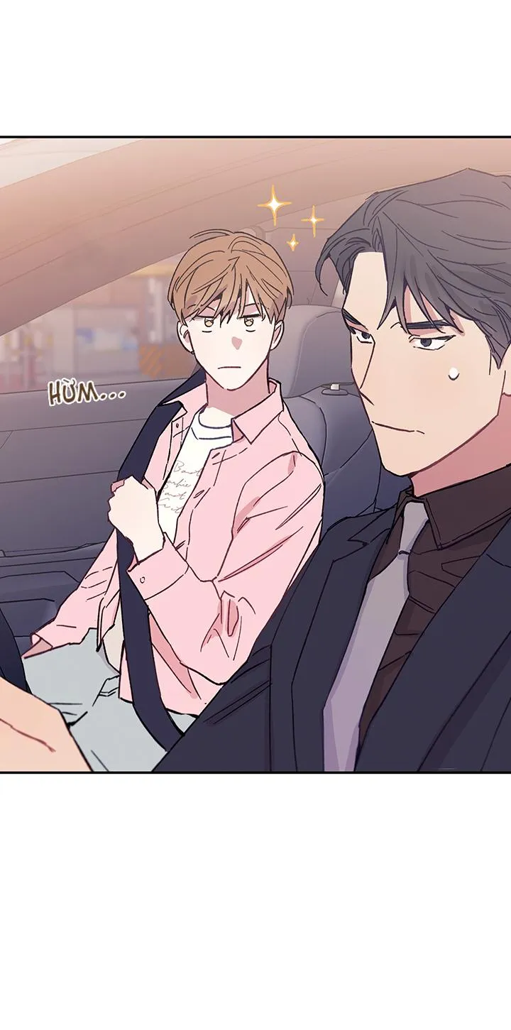 Why Not, CEO? Chapter 29 Trang 11