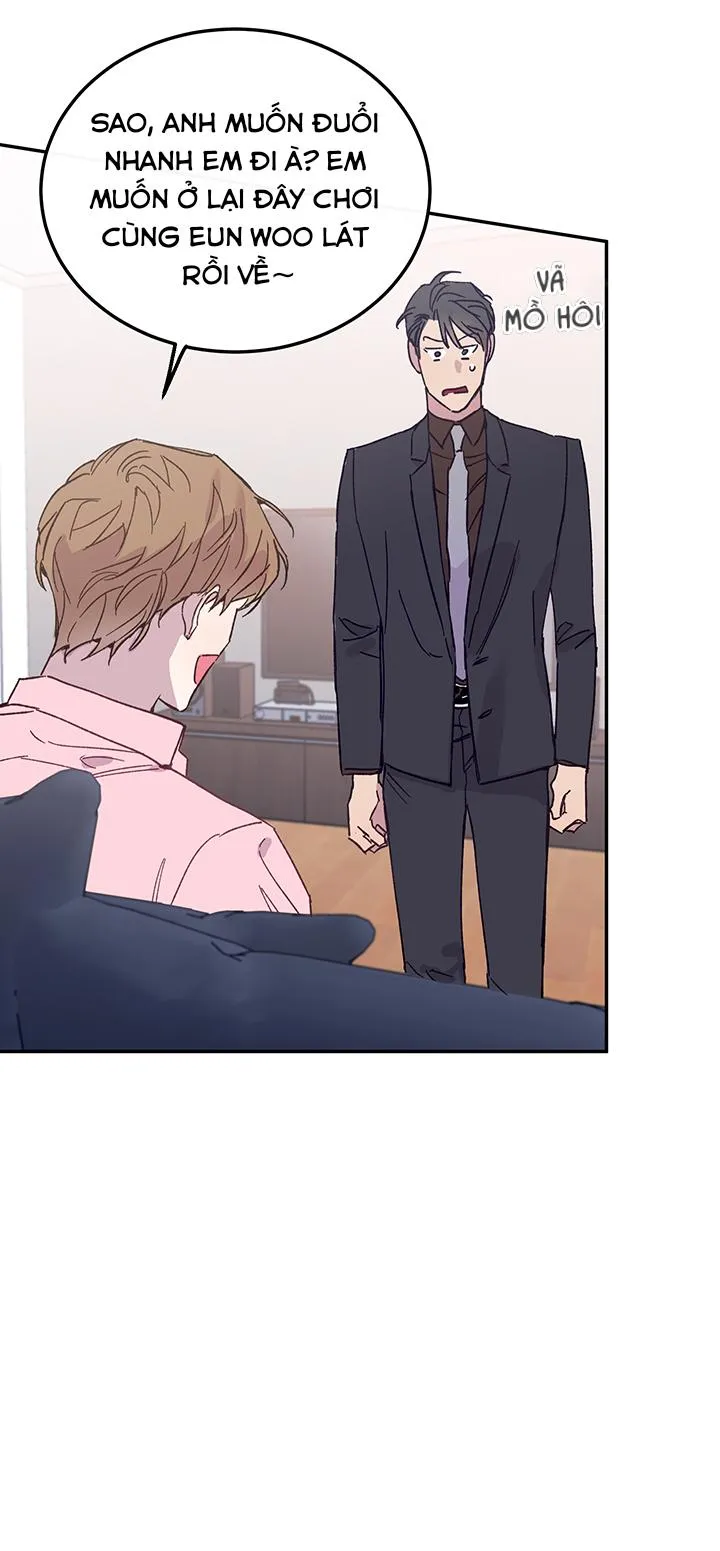 Why Not, CEO? Chapter 29 Trang 31