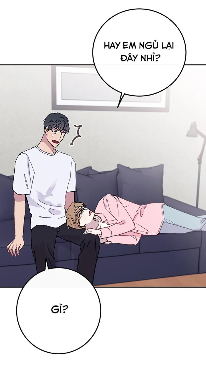 Why Not, CEO? Chapter 29 Trang 50