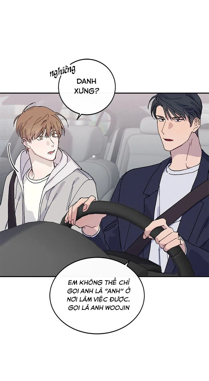 Why Not, CEO? Chapter 3 Trang 9