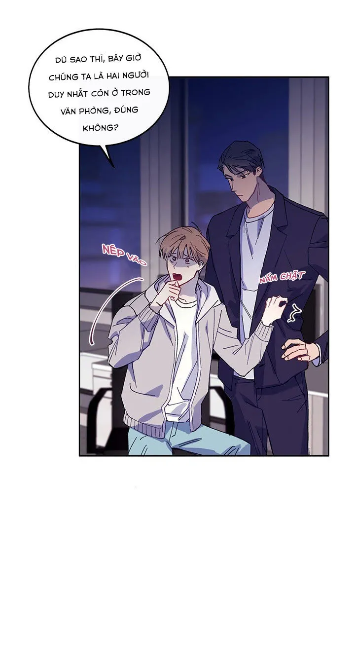 Why Not, CEO? Chapter 3 Trang 36