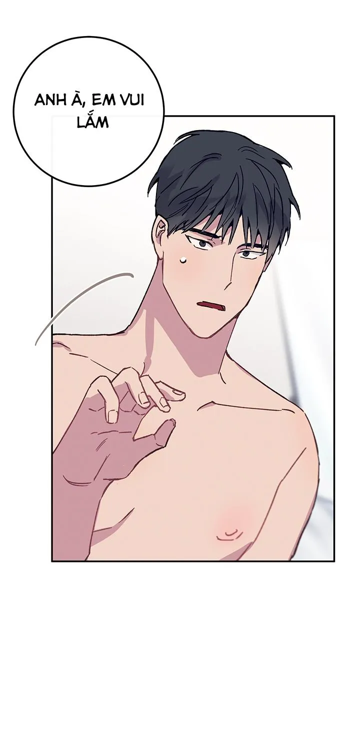 Why Not, CEO? Chapter 30 Trang 26