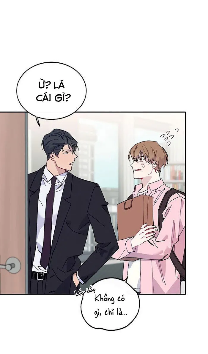 Why Not, CEO? Chapter 4 Trang 11