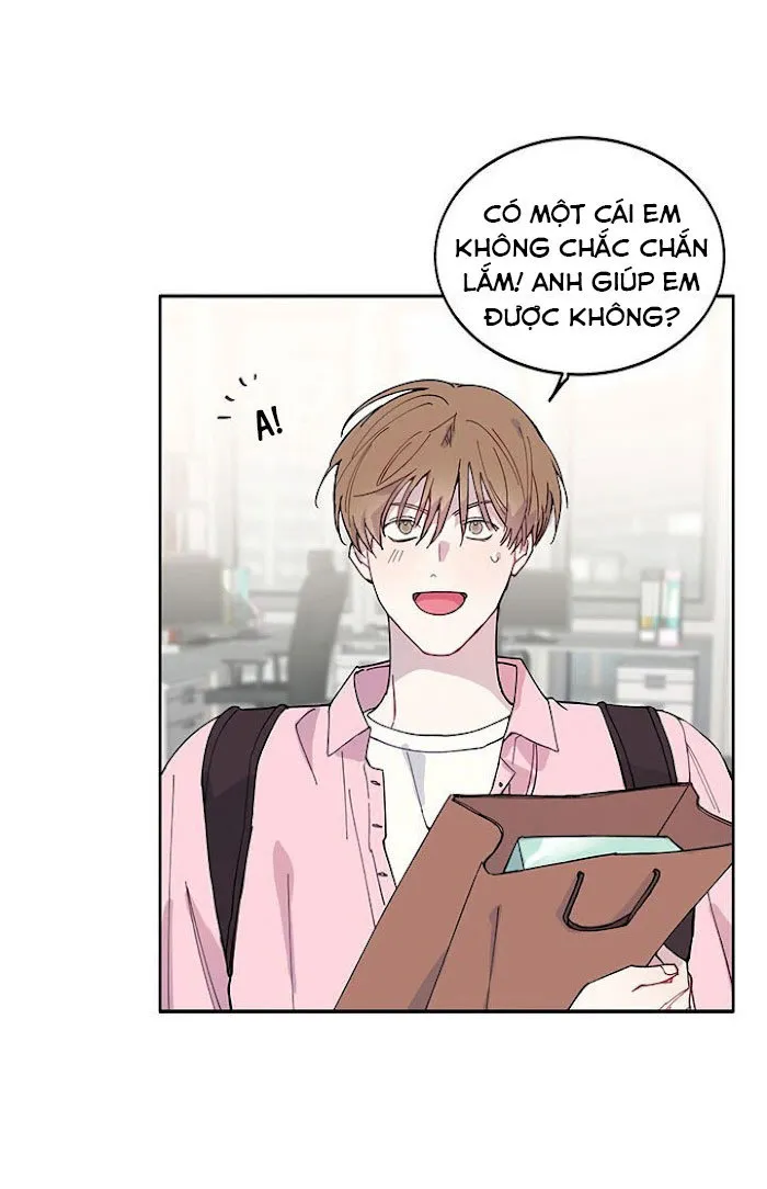 Why Not, CEO? Chapter 4 Trang 12