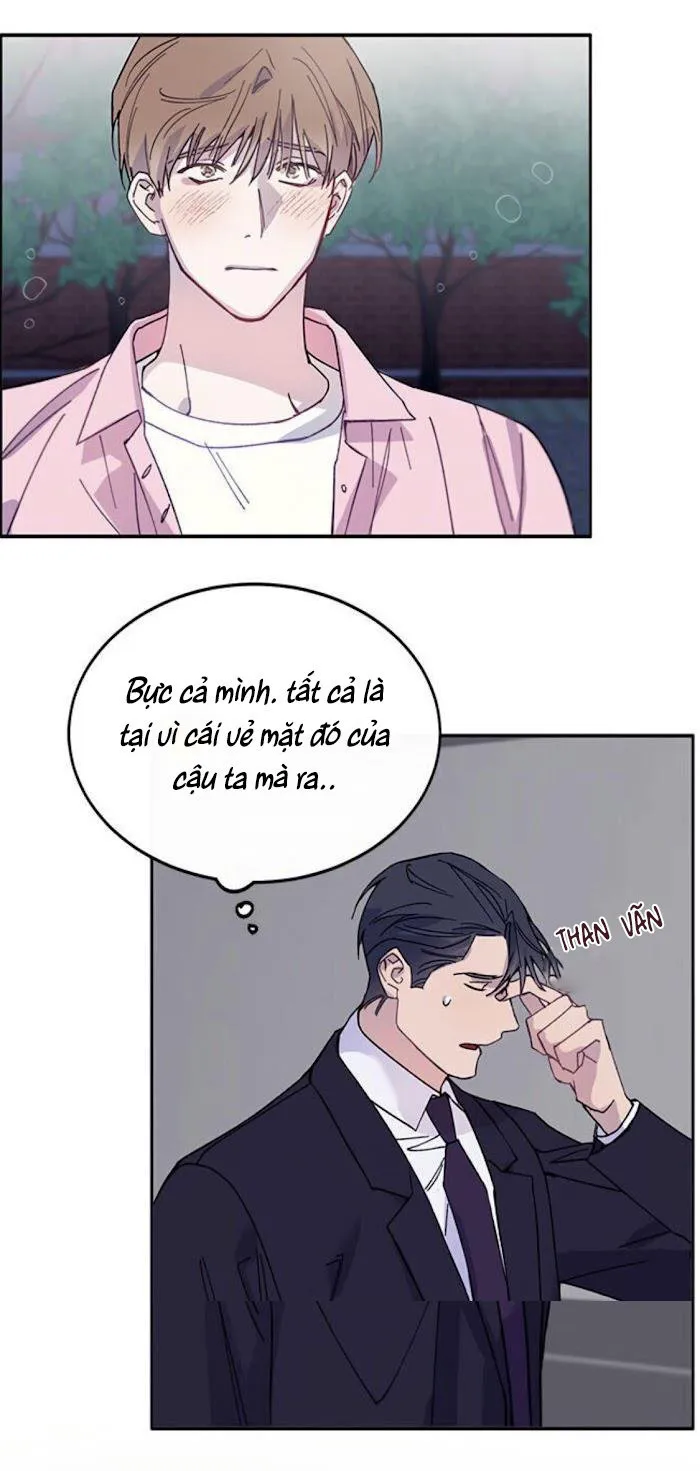 Why Not, CEO? Chapter 5 Trang 9