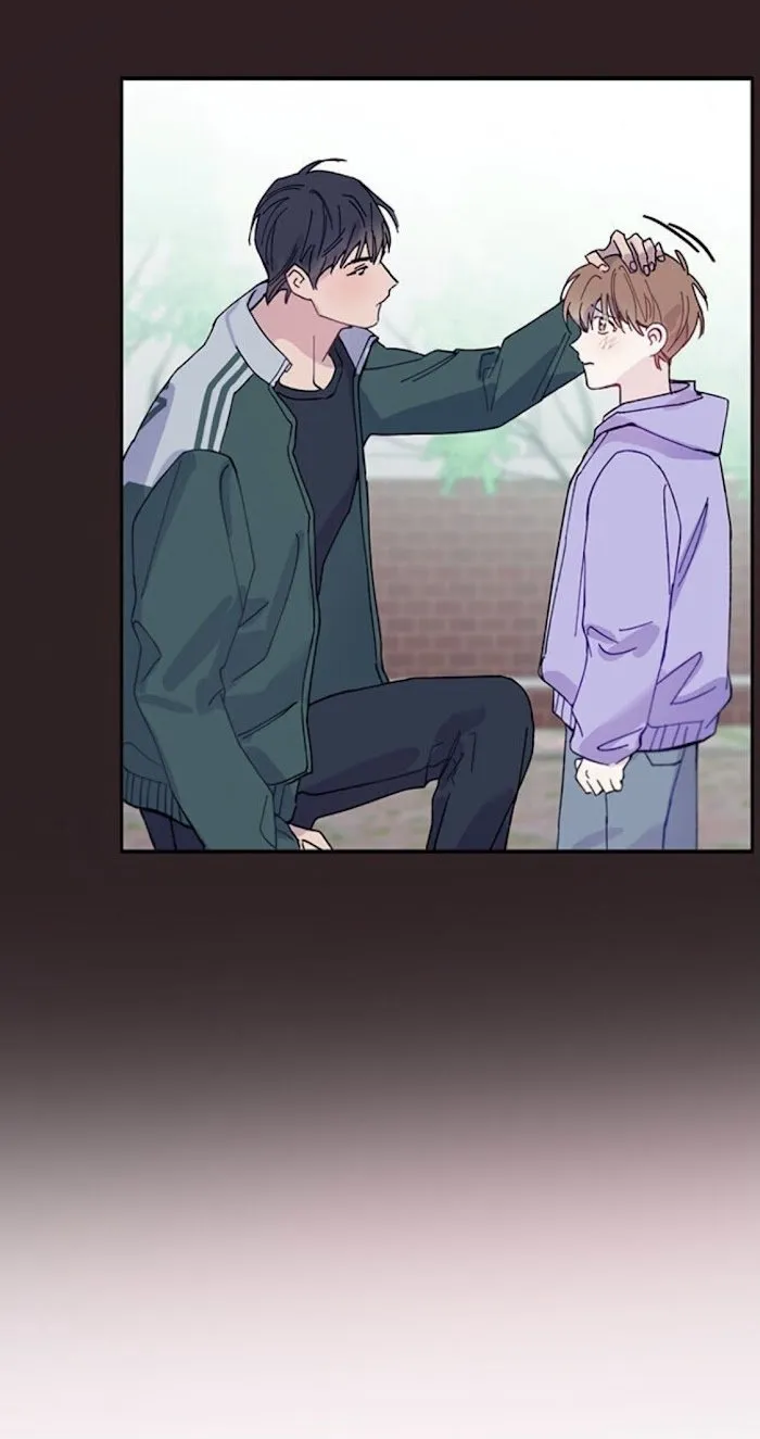 Why Not, CEO? Chapter 5 Trang 10