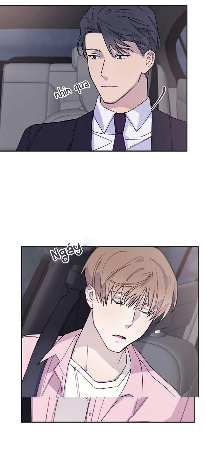 Why Not, CEO? Chapter 5 Trang 32