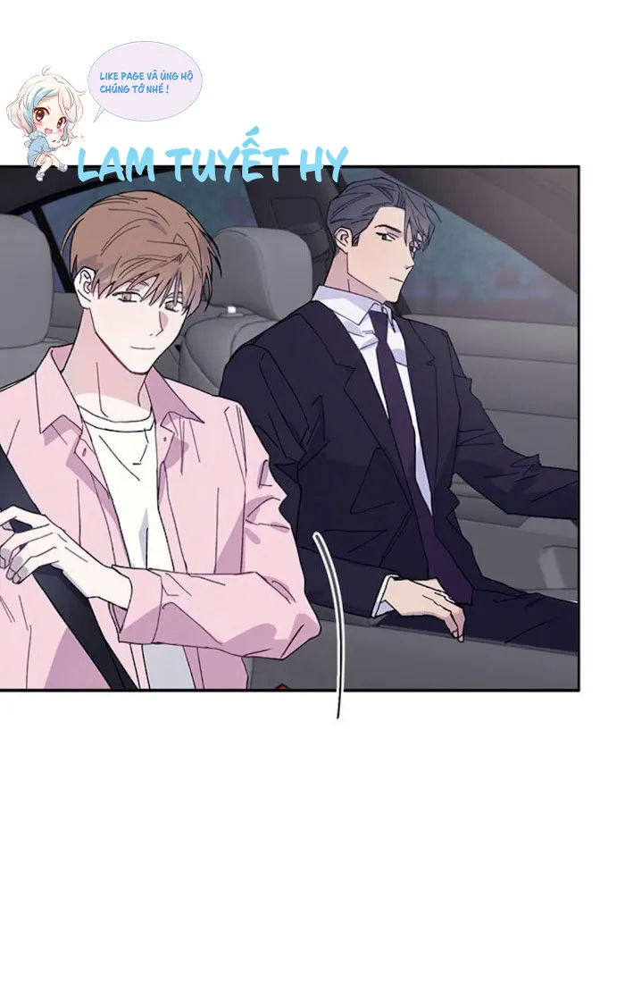 Why Not, CEO? Chapter 5 Trang 37