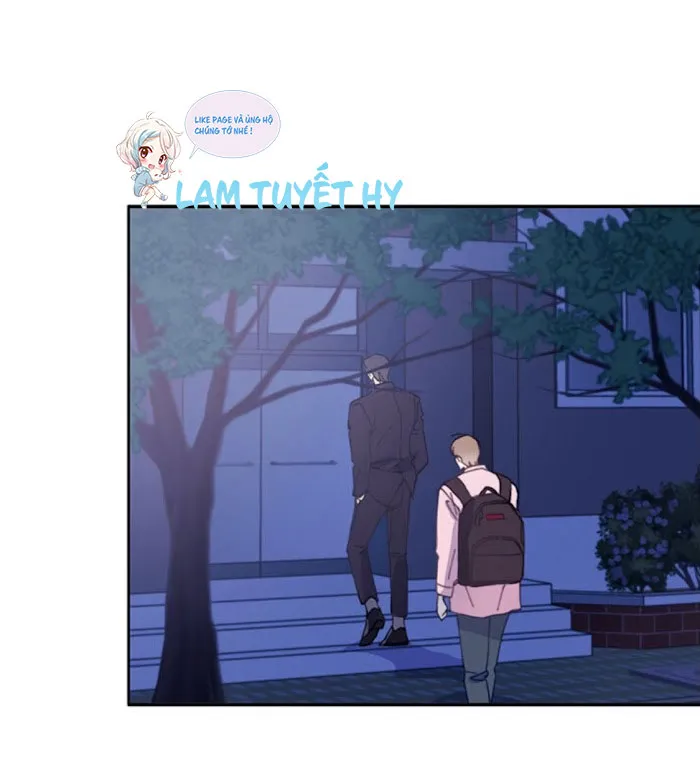 Why Not, CEO? Chapter 5 Trang 51