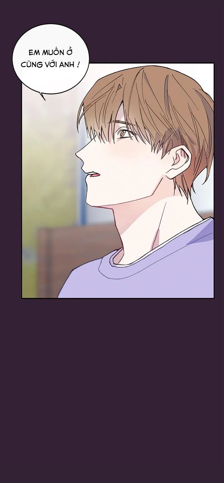 Why Not, CEO? Chapter 7 Trang 12