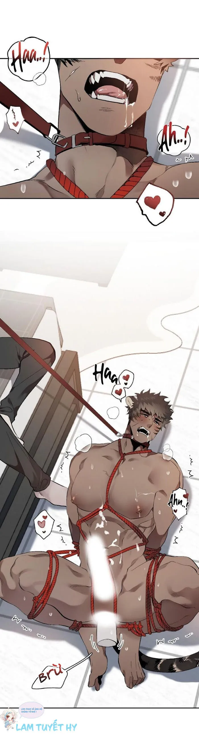 With Your Tail, Yes Chapter 5 Trang 3