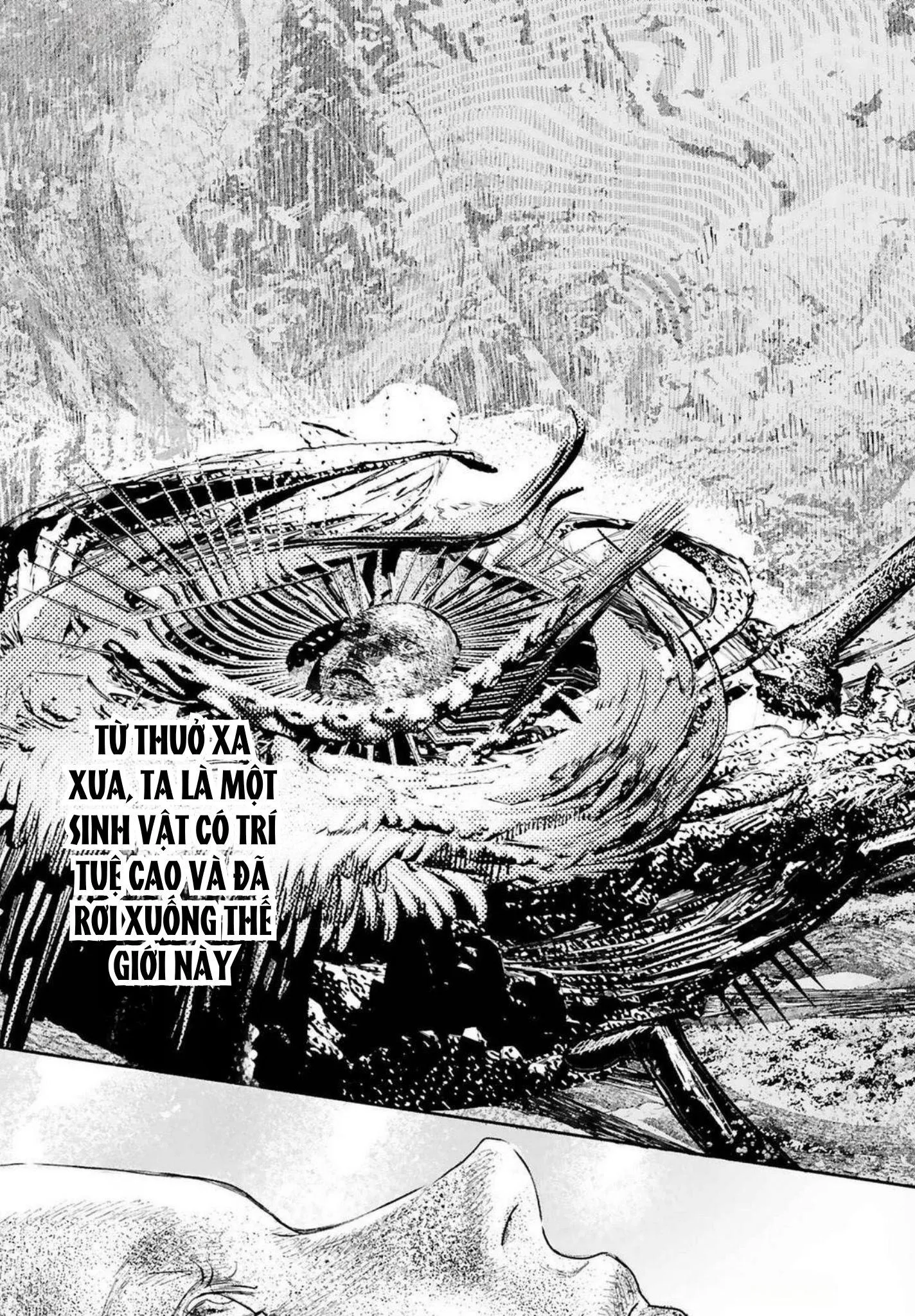 World's End Bluebird Chapter 19 Trang 19