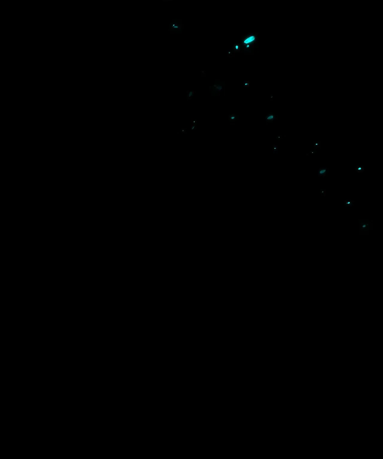 Á NÔ 2 - THÁM HOA Chapter 87 Trang 84