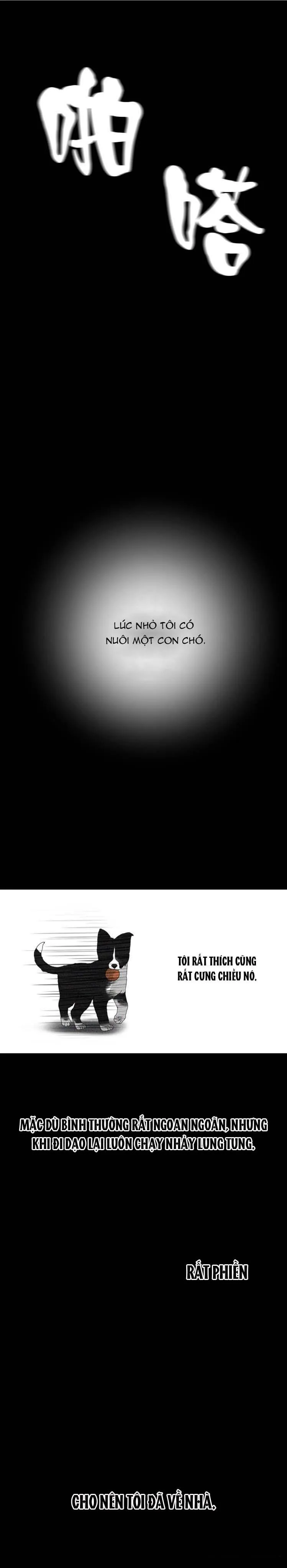 Sự Lãng Mạn Tồi Tệ Chapter 20 Trang 24