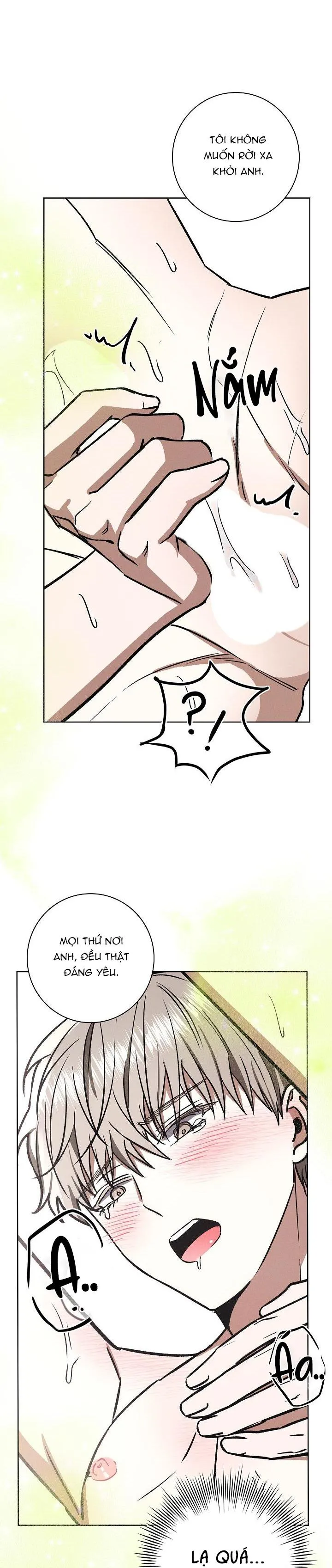 (ABO) BE BE Chapter 38 Trang 15