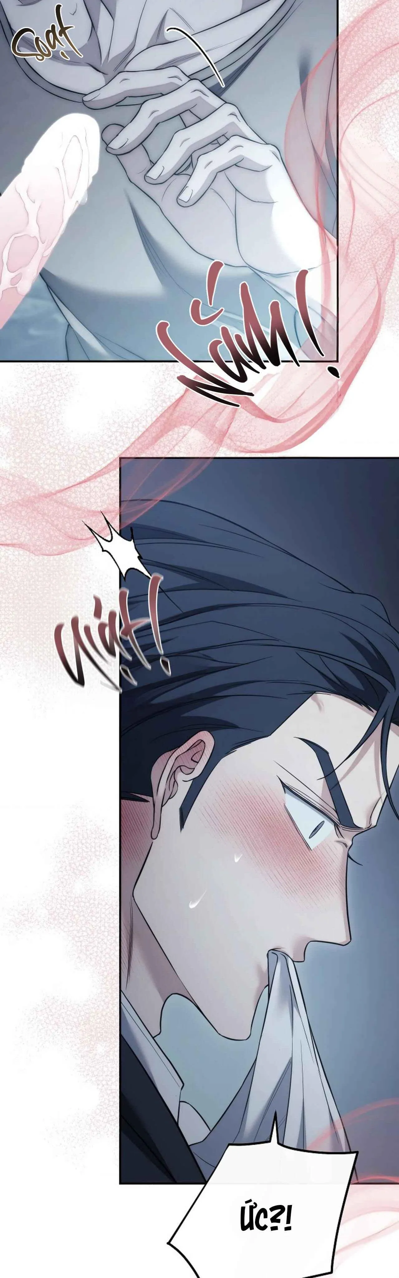 (ABO) MỐI QUAN HỆ KHÔNG HOÀN CHỈNH Chapter 46 Trang 10