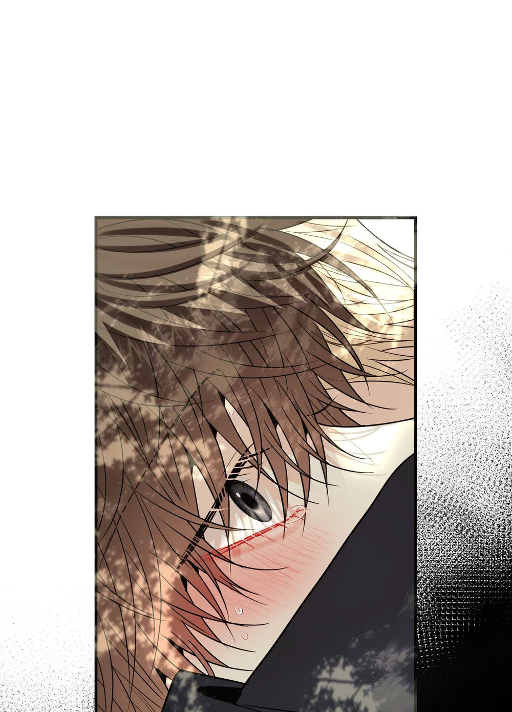 (ABO) Quo Vadis, Domine? Chapter 10 Trang 116