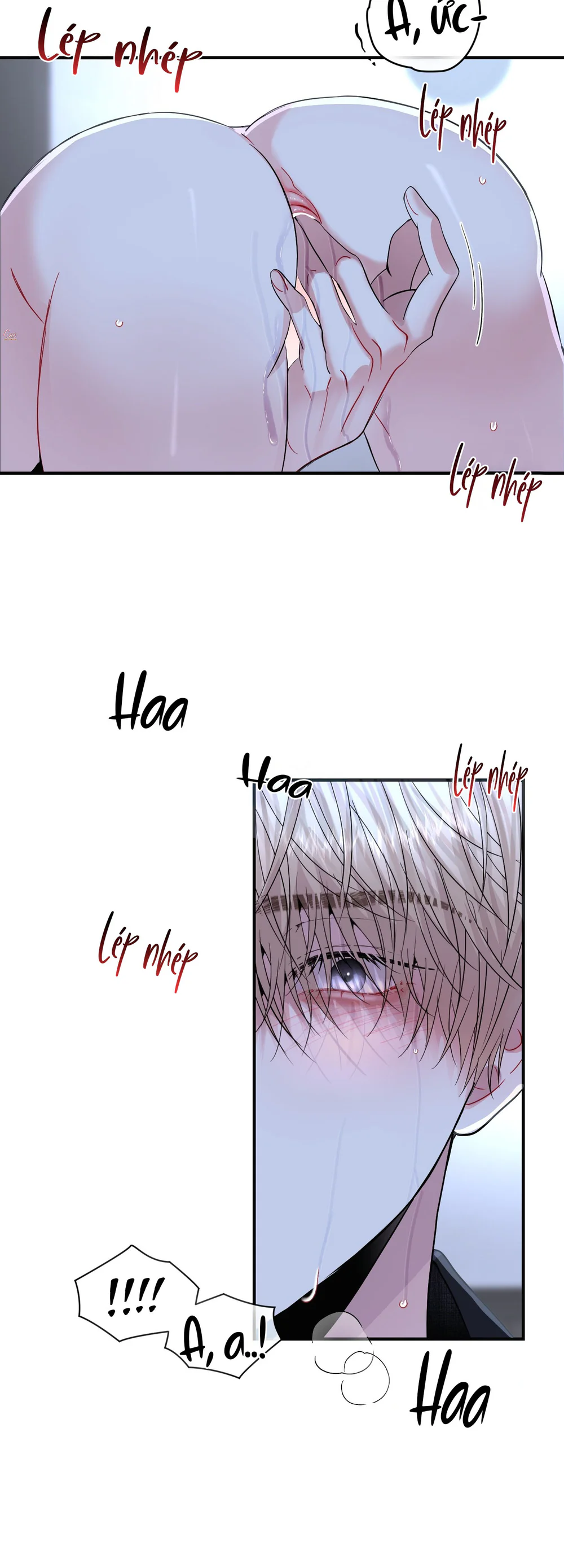 (ABO) Quo Vadis, Domine? Chapter 14 Trang 27