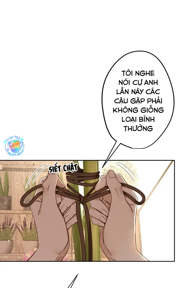 Ác linh Chapter 28 Trang 19