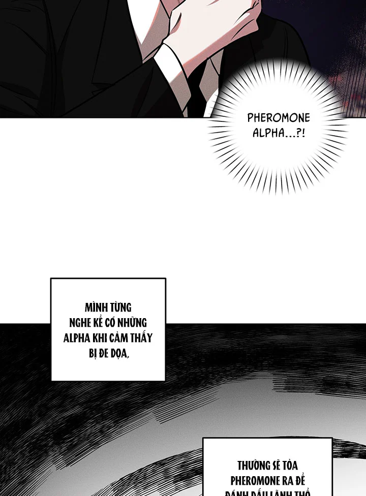 Accidental baby Chapter 11 Trang 40