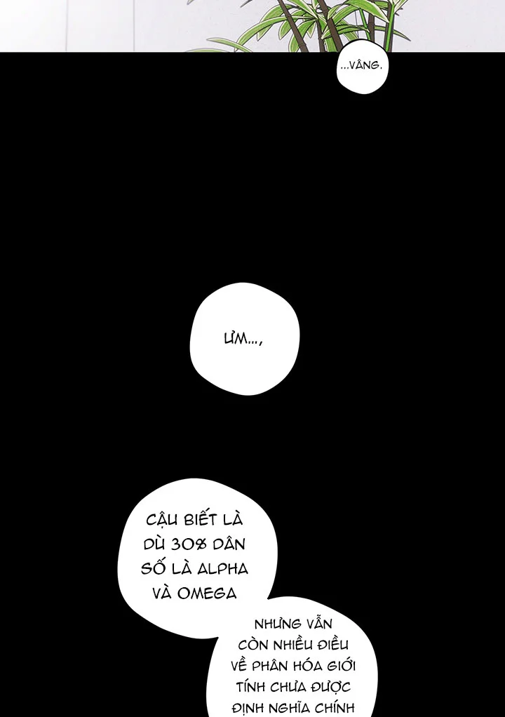 Accidental baby Chapter 6 Trang 88