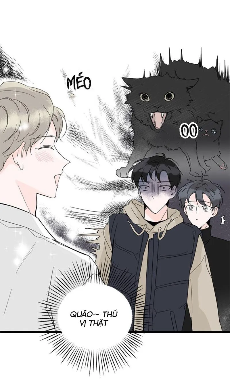 Chợt Yêu Cậu Ấy Chapter 3 Trang 3