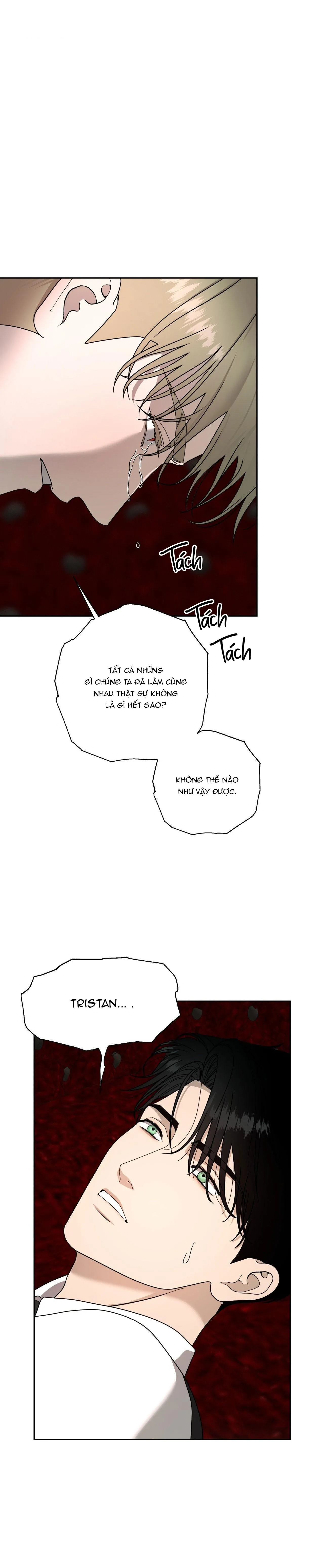 AGATHOS REPORT Chapter 15 Trang 5