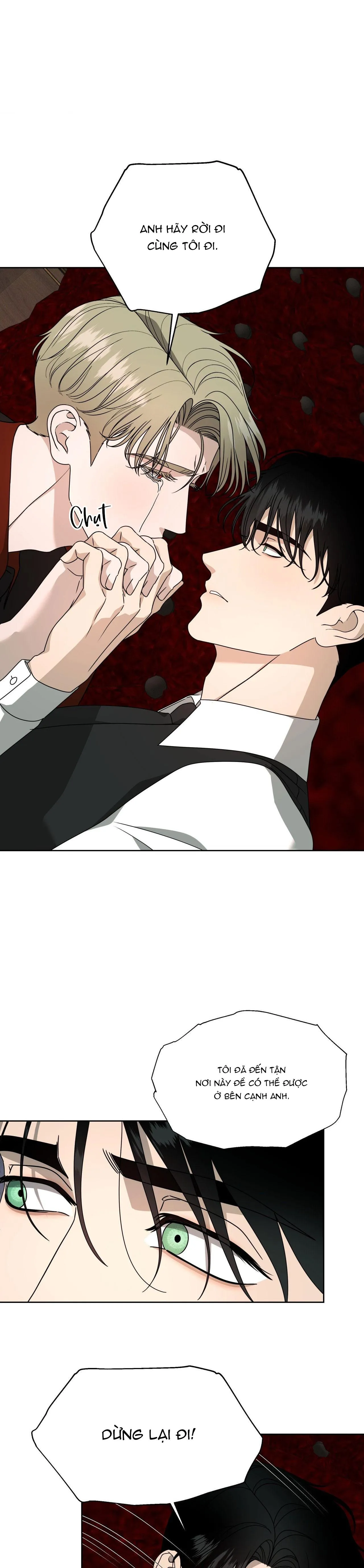 AGATHOS REPORT Chapter 15 Trang 7