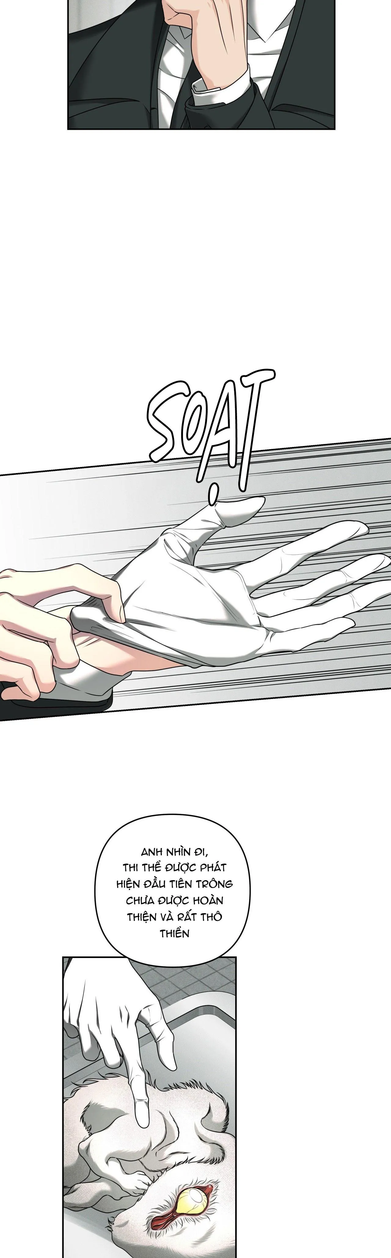 AGATHOS REPORT Chapter 3 Trang 12