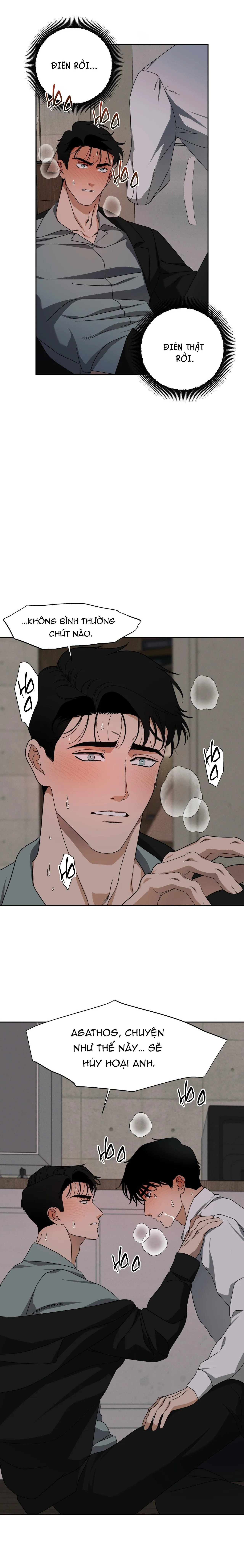 AGATHOS REPORT Chapter 8 Trang 15