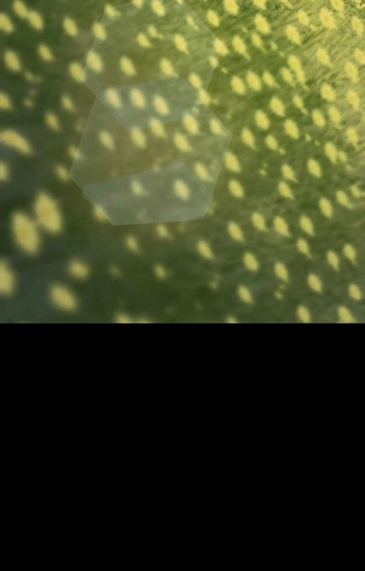 AGATHOS REPORT Chapter 9 Trang 20