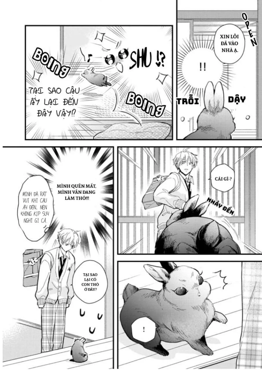 Aitai Jou to Usagi no Yamai Chapter 3 Trang 17