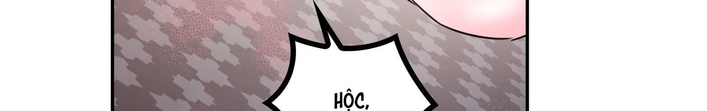 Alpha không hoàn trả Chapter 2 Trang 24