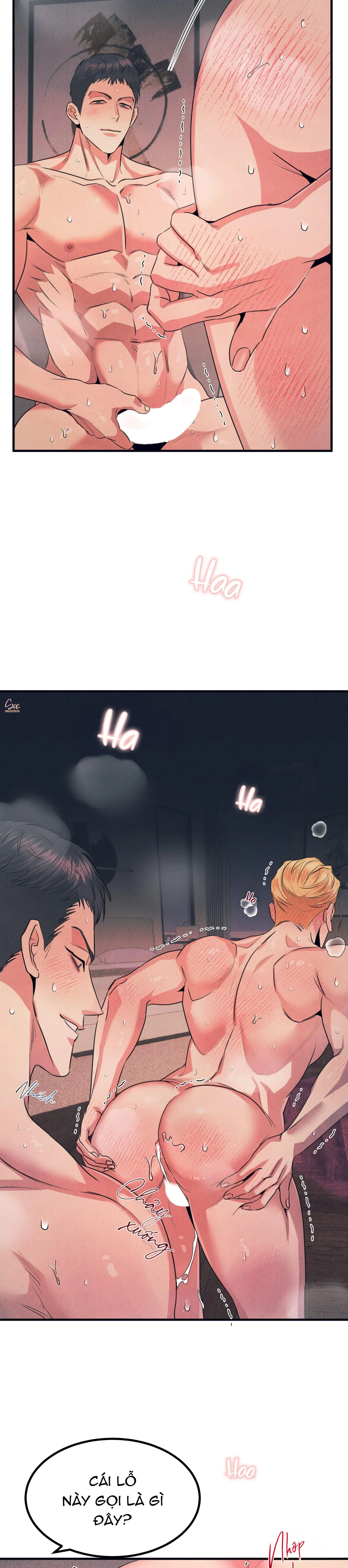 ALPHA MẤT TƯ CÁCH Chapter 10 Trang 17