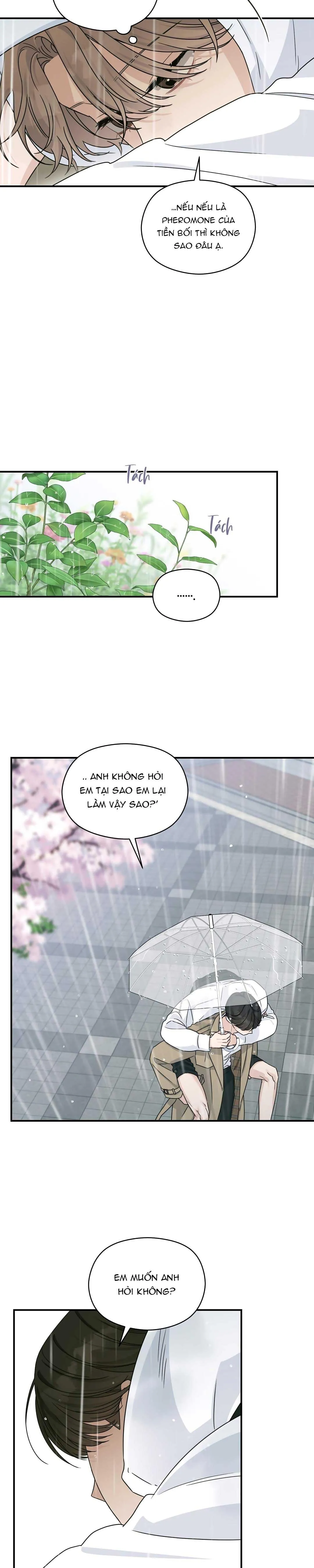 CHẤN THƯƠNG ALPHA Chapter 14 Trang 33