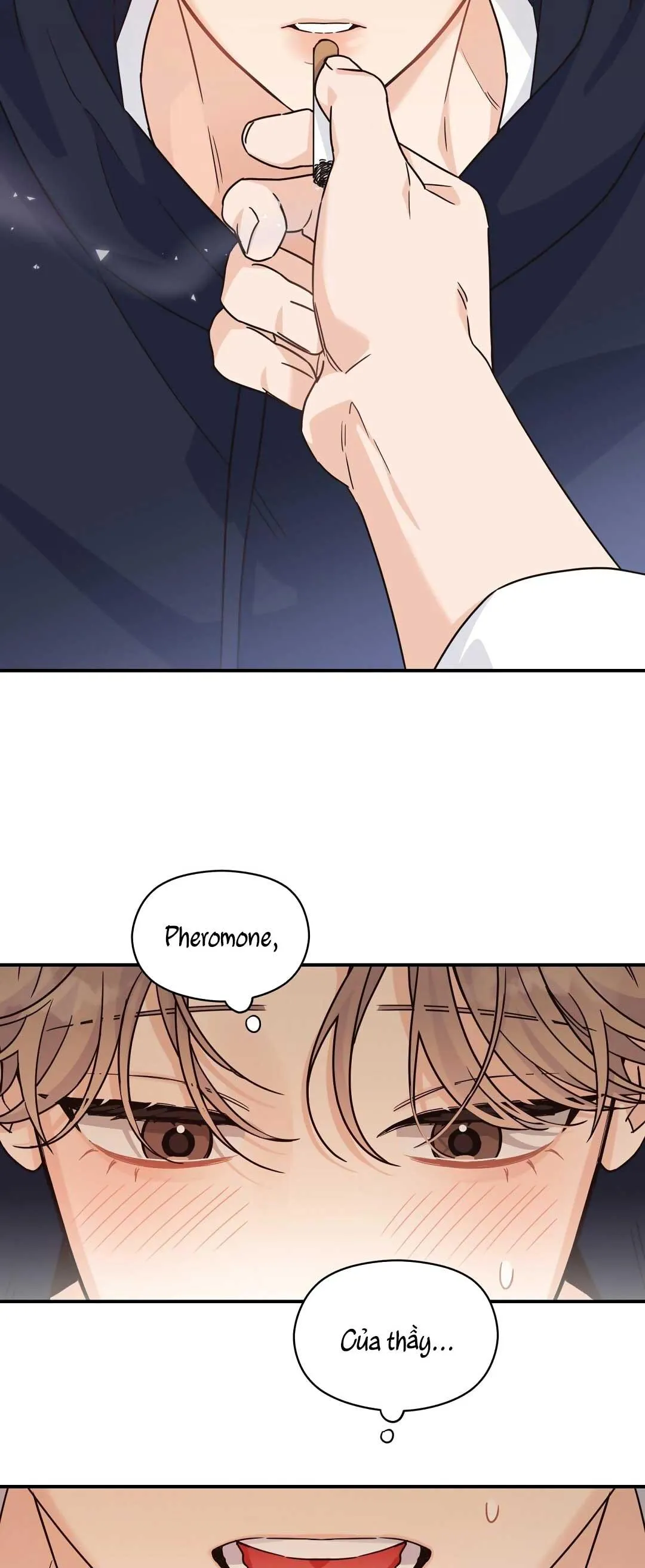 CHẤN THƯƠNG ALPHA Chapter 15 Trang 25