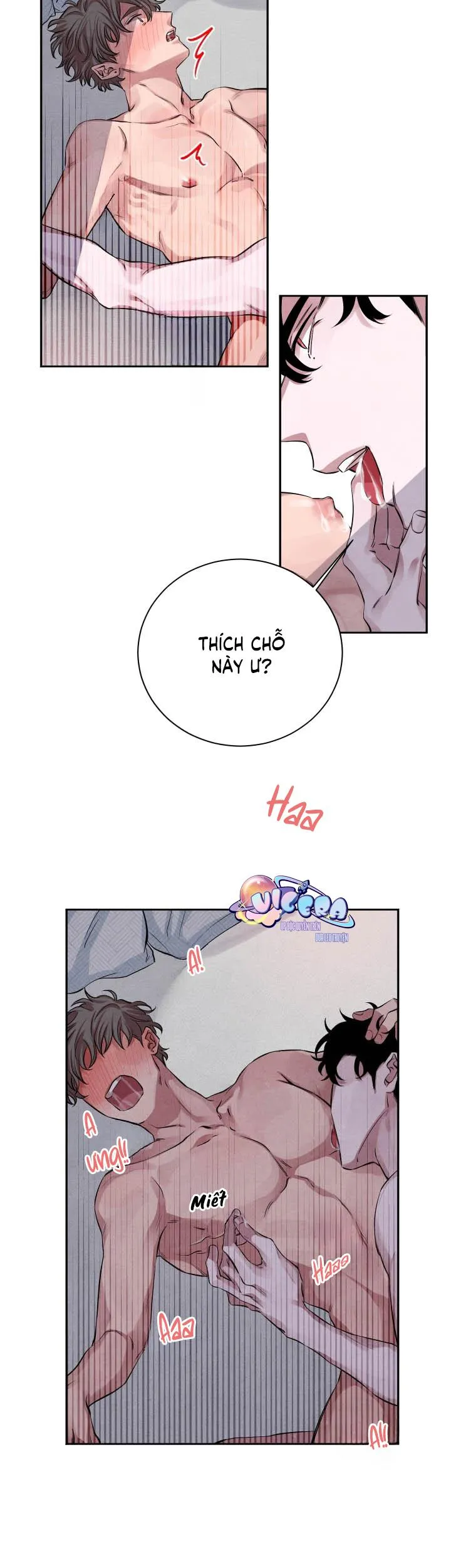 Âm Thanh Của San Hô Chapter 18 Trang 5