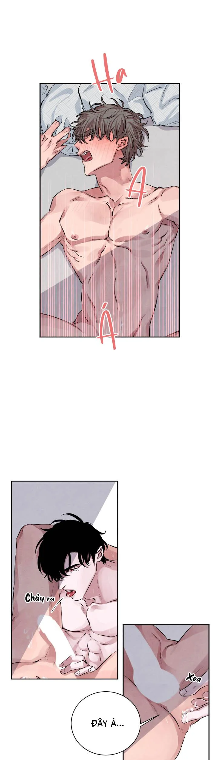 Âm Thanh Của San Hô Chapter 18 Trang 10