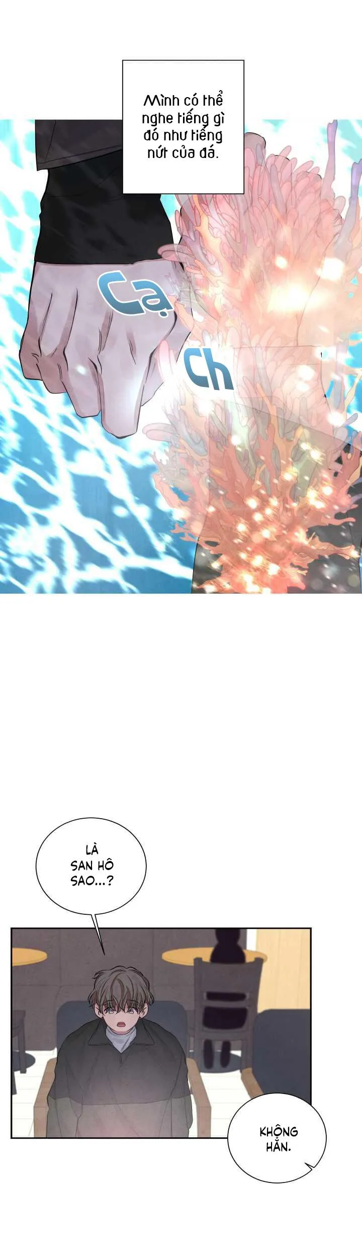 Âm Thanh Của San Hô Chapter 3 Trang 7