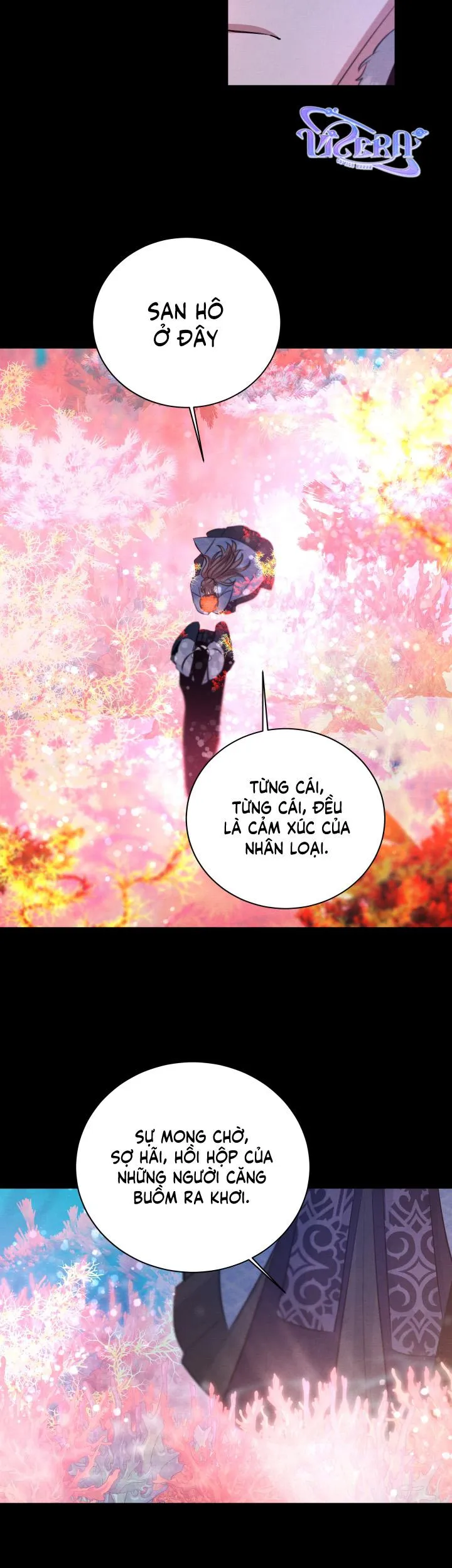 Âm Thanh Của San Hô Chapter 30 Trang 4