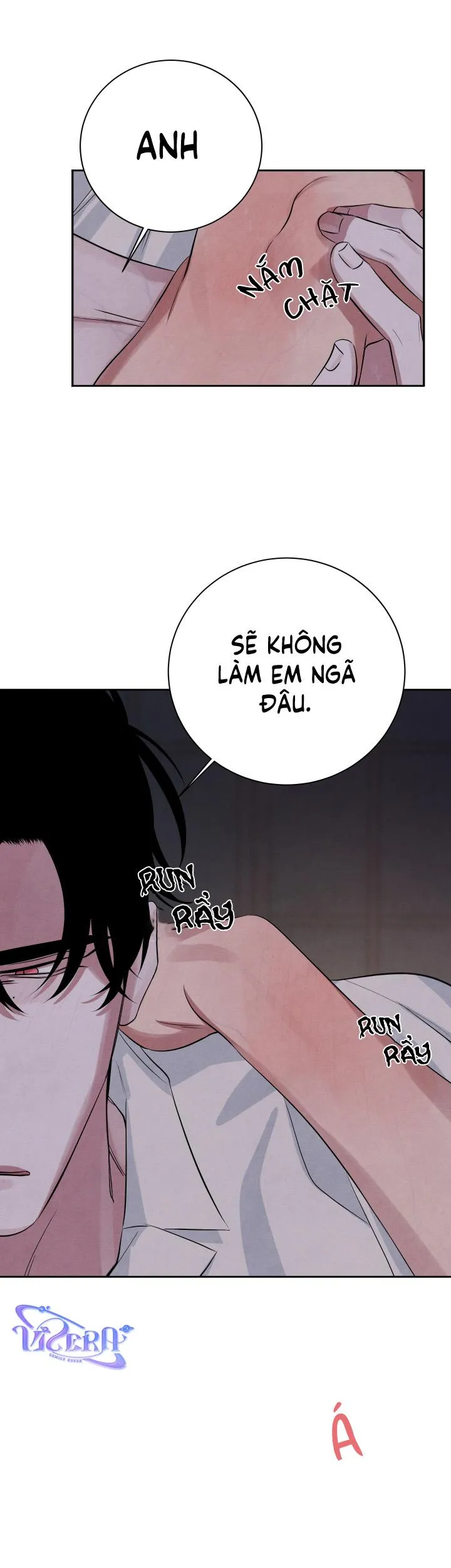 Âm Thanh Của San Hô Chapter 32 Trang 11