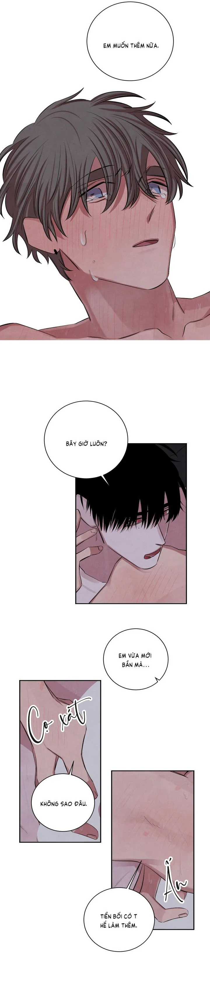 Âm Thanh Của San Hô Chapter 36 Trang 7